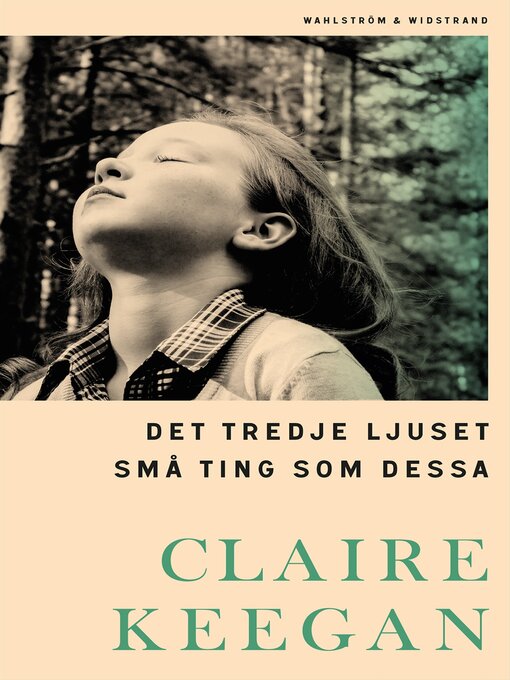 Omslagsbild för Det tredje ljuset ; Små ting som dessa